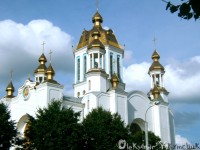 /album/char%d1%96vne-r%d1%96vne/a5-5-143-jpg/